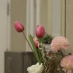 Apartment Alexandra
